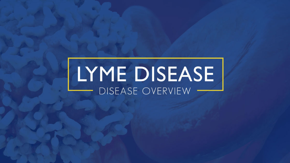 Lyme Disease An Introduction