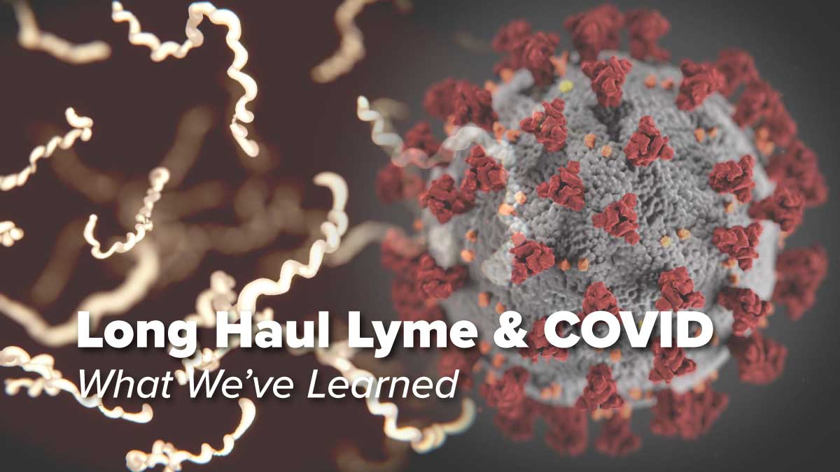 Lessons from Long Haul Lyme & Long Haul COVID